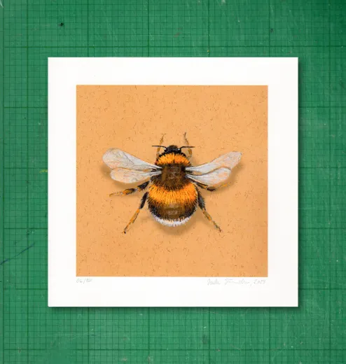 Gicléedruck, signiert und nummeriert