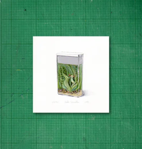 Gicléedruck mit Rand, signiert und nummeriert