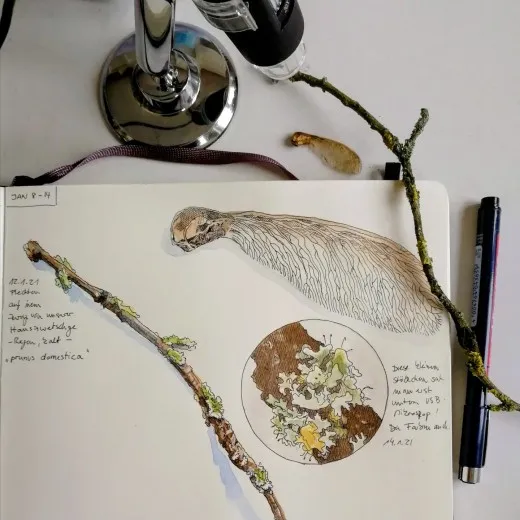 Naturstudien, 2019-2025