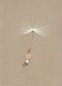 Pusteblume