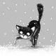 Katze im Schnee