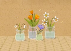 Frühlingsblumen