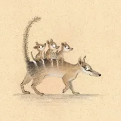Opossum Mama